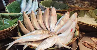 ঝালকাঠিতে ঊর্ধ্বমুখী মাছের দাম